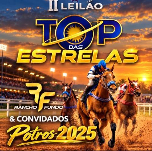 Leilão